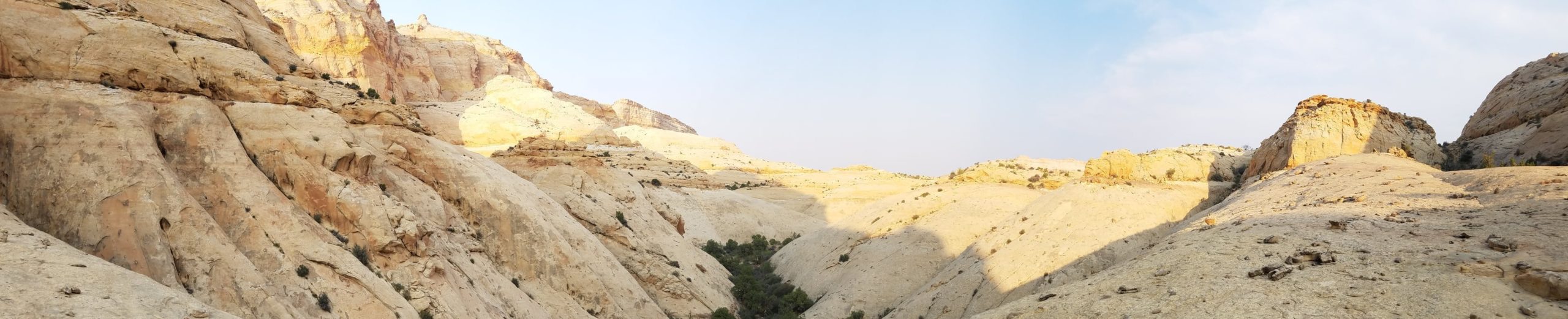 Overlook of a Navajo Sandstone canyon with green vegetation in Capitol Reef National Park