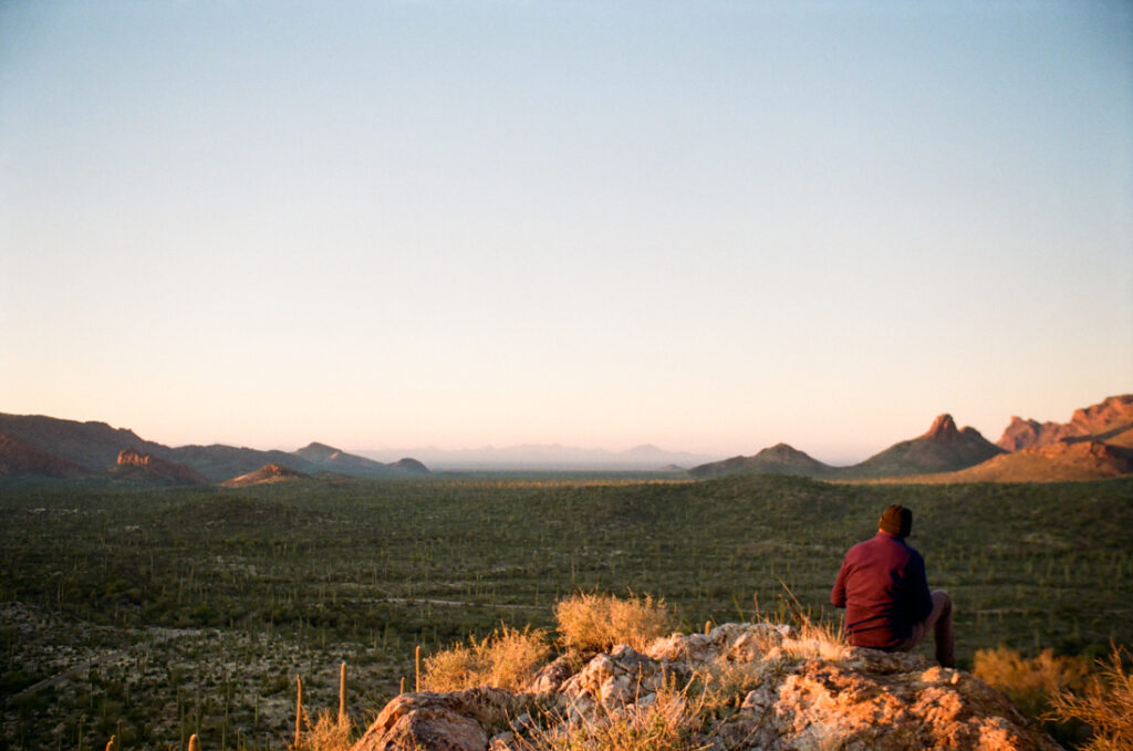 Man overlooking Sonoran Desert 